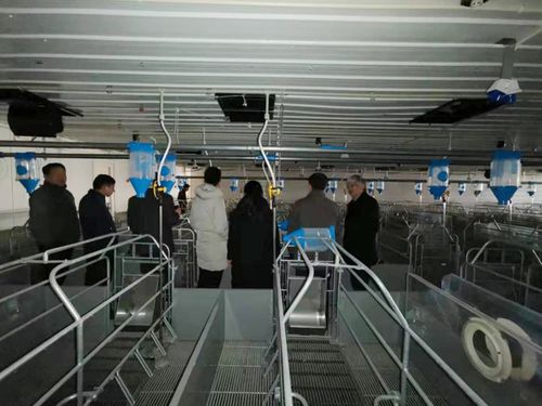 山东汉世伟2019年饲料代工厂年度总结会圆满召开