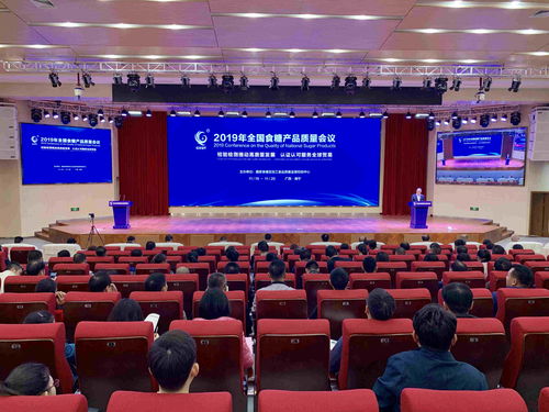 广西创新一站式国际化服务，助力糖业加速融入全球产业链